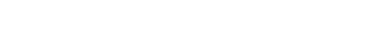Dallas Morning News Logo